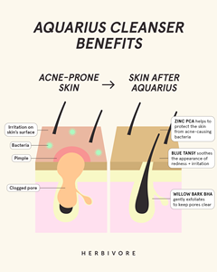 เจลทำความสะอาดผิวหน้าสูตรอ่อนโยน ขนาด 100 มล. บรรจุในหลอด สำหรับล้างหน้า ผสม BHA + บลูแทนซี่ ช่วยให้ผิวกระจ่างใส - Product Image 5