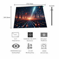 15 Zoll IPS TFT LCD Displaymodul 1024x768 Auflösung LVDS Kapazitiver Touchscreen für Industrielle HMI