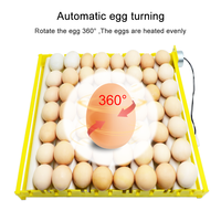 Plateau d'incubation en plastique pour œufs, plateau à œufs à roulettes, plateau pour 56 œufs de poule, pour poulets, canards, oies, dindes, autruches et cailles