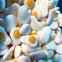 Bulk FD Candy FD Sweeties Freeze-dried Marshmallow
