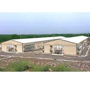 पूर्वनिर्मित कम लागत पोर्टल फ्रेम इस्पात संरचना पोल्ट्री शेड चिकन खेत बिल्डिंग हाउस के लिए 10000 मुर्गियों
