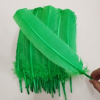 Plumes de dinde teintes en gros, 30-35 cm, plumes décoratives d'ailes de dinde pour costumes de carnaval, bricolage, artisanat, accessoires de chapellerie