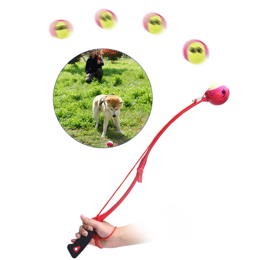 Mainan Latihan Hewan Peliharaan Interaktif, Mainan Tenis Anjing Hewan Peliharaan, Mainan Peluncur Bola Anjing Luar Ruangan