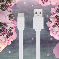 Câble de charge rapide Type-C 2.1A en PVC de 0,5 m le plus vendu pour une utilisation en voiture