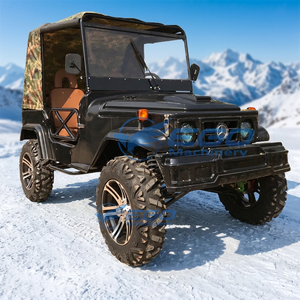Véhicule utilitaire agricole, mini jeep de style modifié, pneus de 12 pouces, capacité de charge de 390 kg, certifié CE, buggy tout-terrain - Product Image 2