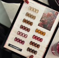 Kit de vernis à ongles gel œil de chat super brillant, 24 et 10 couleurs/ensemble, brun rouge, carte de présentation en acrylique, vernis à ongles gel à faire tremper, kit de vernis à ongles gel