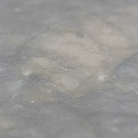 Dalle de pierre calcaire gris fossile, pierre naturelle italienne, gris taupe, veinée, finition polie, pour comptoir, revêtement mural, sol