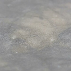 Dalle de pierre calcaire <span class=keywords><strong>gris</strong></span> fossile, pierre naturelle italienne, <span class=keywords><strong>gris</strong></span> <span class=keywords><strong>taupe</strong></span>, veinée, finition polie, pour comptoir, revêtement mural, sol - Product Image 6