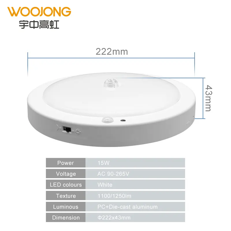 Woojong hotel modern motion Sensor humans induction LED nordic Ceiling lamp light 15W indoor lighting for home