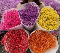 Bunga kering berkualitas tinggi kumpulan besar bunga abadi bunga Gypsophila grosir pasokan langsung pernikahan Pabrik Yunnan
