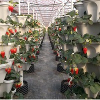 Planter Taman Vertikal 5 Tingkat untuk Rumah dan Luar Ruangan, Modern, Bahan PP, untuk Menanam Bunga, Sayuran, dan Sukulen