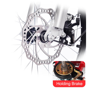 <span class=keywords><strong>Triciclo</strong></span> para Adultos de 20 Pulgadas con 6 Velocidades Variables y 3 Ruedas, con Cestas Delanteras y Traseras, Venta al Por Mayor de Fábrica - Product Image 5