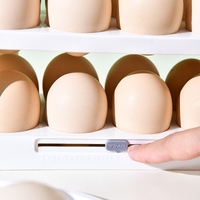 Porte latérale du réfrigérateur Organisateur d'oeufs Plateau à oeufs réversible Étagère de rangement pour réfrigérateur à domicile Écologique