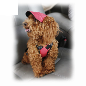 Gorra <span class=keywords><strong>de</strong></span> béisbol <span class=keywords><strong>de</strong></span> moda para perros, visera protectora solar, accesorios geniales para perros, gorra <span class=keywords><strong>de</strong></span> disfraz para mascotas para verano al aire libre, venta al por mayor OEM ODM - Product Image 3