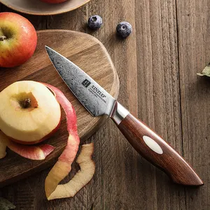 3,5 Zoll neues Design 110 Schichten Damaskus Stahl Desert Ironwood Griff Scharfe Küche Obst Peeling Schäl messer