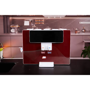 Purificateur d'<span class=keywords><strong>eau</strong></span> en gros pour usage domestique, <span class=keywords><strong>filtre</strong></span> à <span class=keywords><strong>eau</strong></span> potable, système RO instantané froid et chaud, machine 75G 100G - Product Image 3