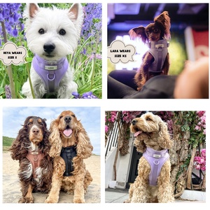 Arnés de perro de lujo de diseñador personalizado ajustable acolchado con capa de aire juego de arnés de perro de neopreno con correa y collar de PVC - Product Image 5