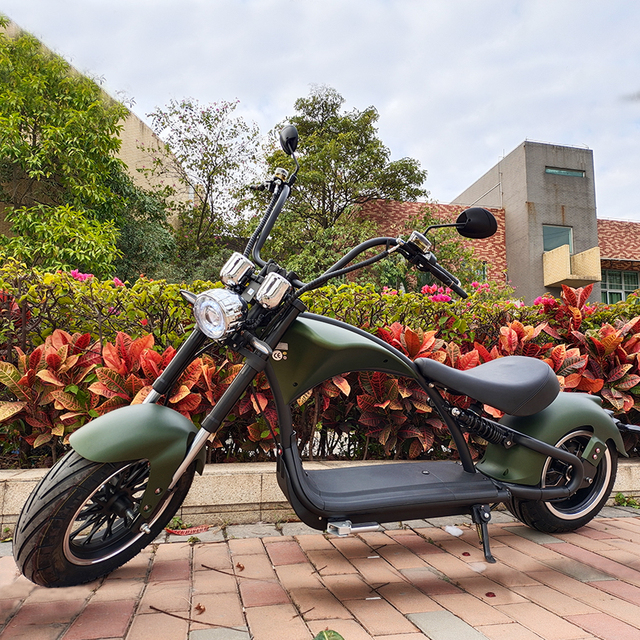 EU Stock Free Shipping Citycoco 2000W Electric Motorcycle Battery 2000w Electric Motorcycle Electric Moto Bike Motorcycle