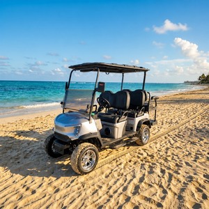 Carrello Elettrico da <span class=keywords><strong>Golf</strong></span> per Allevamenti di Piccioni, 2/4/6 Posti, Motore AC 48V 5KW, Batteria al Litio, per Trasporto in Gara, con Cesto Portaoggetti - Product Image 5