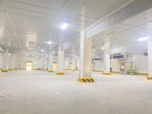 Chambre froide préfabriquée de bonne qualité pour la culture et la culture des champignons - Product Image 6