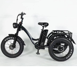 Triciclo Eléctrico de 750W con Motor, 48V, Neumáticos Anchos, para Adultos, con Cesta - Product Image 1