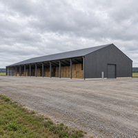 Entrepôt industriel moderne durable en structure légère en acier, conception résistante aux vents forts, atelier métallique résistant à la corrosion