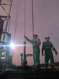 Bomba de Cavidad Progresiva para Campos Petroleros - Product Image 1