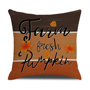 Vendita calda 45*45cm quadrati autunno Design 3D digitale stampato <span class=keywords><strong>Anime</strong></span> cuscino in stile moderno per uso domestico e alberghiero - Product Image 4