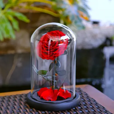 Wholesale A Grade 50 Colors Immortal Eternal roses Forever Preserved Rose In Glass Dome With Lights Valentines Day Gift