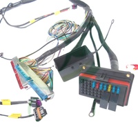 Boîte à fusibles étanche MINI LS1, faisceau de câblage moteur 5.3L / 6.0L / 4.8L et modification autonome du PCM DBC