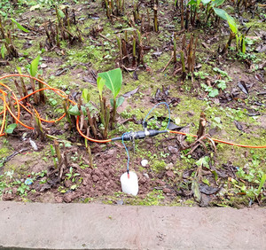 鉱物探査用の地球物理学的電気2Dおよび3D抵抗率イメージングおよび2DIPトモグラフィーシステム - Product Image 6