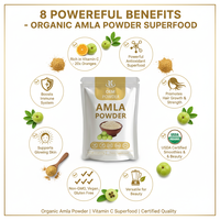 Extrait d'Amla en poudre fine de qualité alimentaire sans additifs naturels