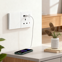 Fábrica Europa Comercio exterior 86 Panel de enchufe de interruptor de pared mate ultrafino 13A Enchufe de red USB estándar británico alemán
