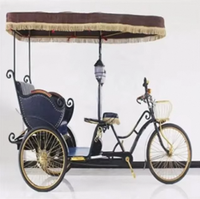 Tricycle électrique de tourisme urbain à 3 roues pour passagers, chariot de tourisme électrique, vélo cargo électrique