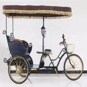 Tricycle électrique de tourisme urbain à 3 roues pour passagers, chariot de tourisme électrique, vélo cargo électrique - Product Image 3