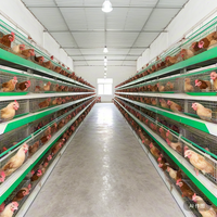 Cage à poulets empilable de type H, entièrement automatique, galvanisée à chaud, équipement d'élevage avicole, collecte des œufs