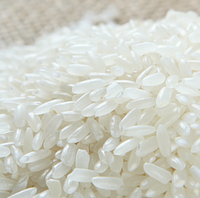 Extrudeuse à double vis, 150 - 350 kg/h, ligne de production de riz artificiel, aliments, livraison gratuite