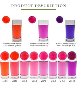 Fábrica al por mayor 100% Extracto de rábano natural de grado alimenticio colorante en polvo rojo rábano - Product Image 4