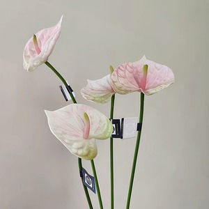 Hot Bán Nhân Tạo Bất Cảm Ứng Hoa Giống Anthurium Nhà Máy Trang Trí Đám Cưới Nguồn Cung Cấp Hoa Nhân Tạo - Product Image 5