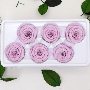 Rosas Preservadas de Calidad AA, Flores Eternas de Larga Duración, Suministro al por Mayor para Artesanías Florales y Regalos - Product Image 1