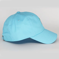 Groothandel Lichtblauwe Palmboom Geborduurde 100% Katoenen Baseballpet Verstelbare Riempje Unisex Volwassene Casual Zonnehoed