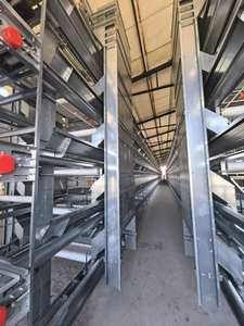 อุปกรณ์ฟาร์มสัตว์ปีก 4 6 7 8 12 ชั้น แบบกรงเลี้ยง<span class=keywords><strong>ไก่</strong></span>ไข่แบบแบตเตอรี่ <span class=keywords><strong>ราคา</strong></span>ประหยัดสำหรับฟาร์ม - Product Image 4