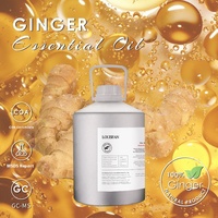 Huile Essentielle de Gingembre Biologique Supercritique au CO2, Matière Première pour Aromathérapie et Soins de la Peau, Huiles d'Extraits Végétaux 100% Pures, Vente en Gros 10ML