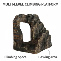 Ornement paysager de terrarium en résine, escalier de roche simulé, écologique, cachette pour reptiles Petpetzone