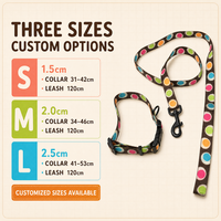 Ensemble collier et laisse pour animaux de compagnie en polyester enduit de PVC, taille personnalisée, logo et emballage, pour programmes d'accessoires de promenade – Fournisseur direct usine
