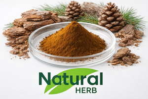 Premium kwaliteit natuurlijk 95% proanthocyanidine dennenhuid <span class=keywords><strong>extract</strong></span> poeder - Product Image 2
