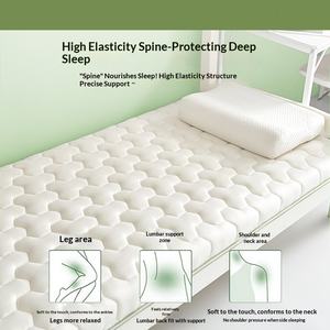 Housse de <span class=keywords><strong>matelas</strong></span> simple <span class=keywords><strong>en</strong></span> mousse à mémoire de forme et latex pour étudiants <span class=keywords><strong>en</strong></span> dortoir, coussin doux, mobilier de maison, literie pour <span class=keywords><strong>location</strong></span> - Product Image 3