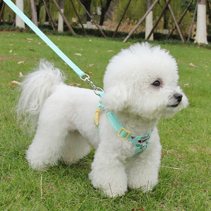 Harnais pour chien en polyester respirant et réfléchissant, style gilet en maille aérée, personnalisable avec boutons, collier et laisse inclus – Grande Vente - Product Image 4