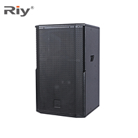 RD-15A Enceintes actives 15 pouces Son Surround Entrée BT/USB Intégrées 8 ohms 300W*2 Amplificateur AC 110V/220V Idéales pour les spectacles en direct