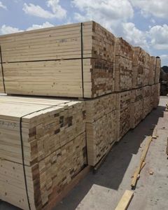 Kayu Bekisting Anti-Korosi untuk Pembangunan Beton - Product Image 5